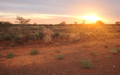 What are the key features of an Australian Accent?